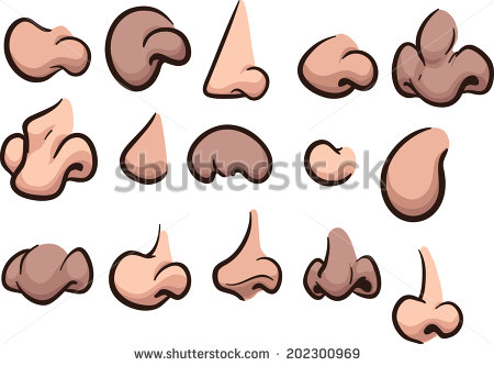 Variety Of Cartoon Noses  Vector Clip Art Illustration  Each On A
