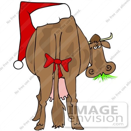 Royalty Free Holiday Clipart Of A Silly Christmas Cow Chewing On Grass