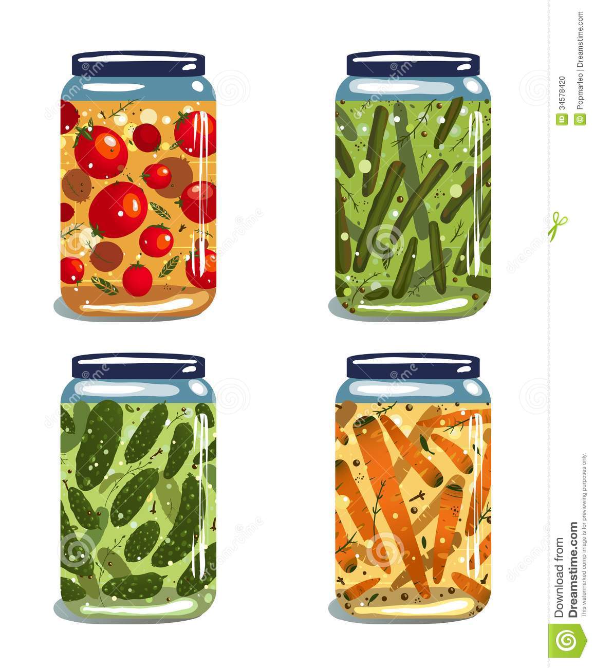 Bright Canned Pickled Vegetables Collection Stock Photo   Image    
