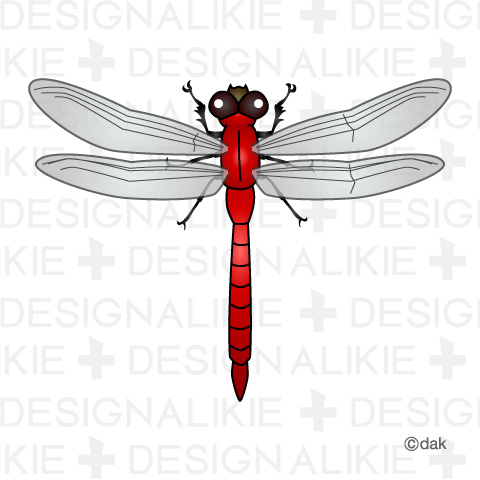 Clip Arts Dragonfly Insect Id 939 Category Clipart Animal Insect Price