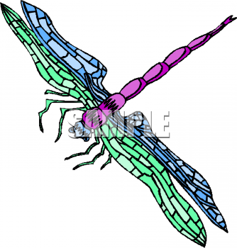 Find Clipart Dragonfly Clipart Image 9 Of 65