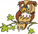 Owls Perch Prey Wildlife Search Terms Owl Owl Owl Owl