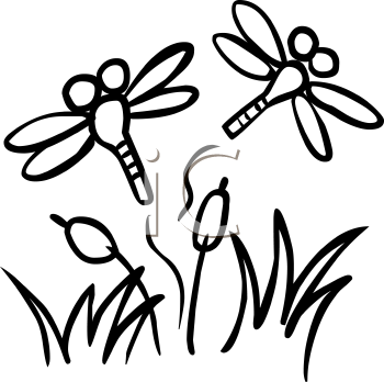 Royalty Free Dragonfly Clip Art Insect Clipart