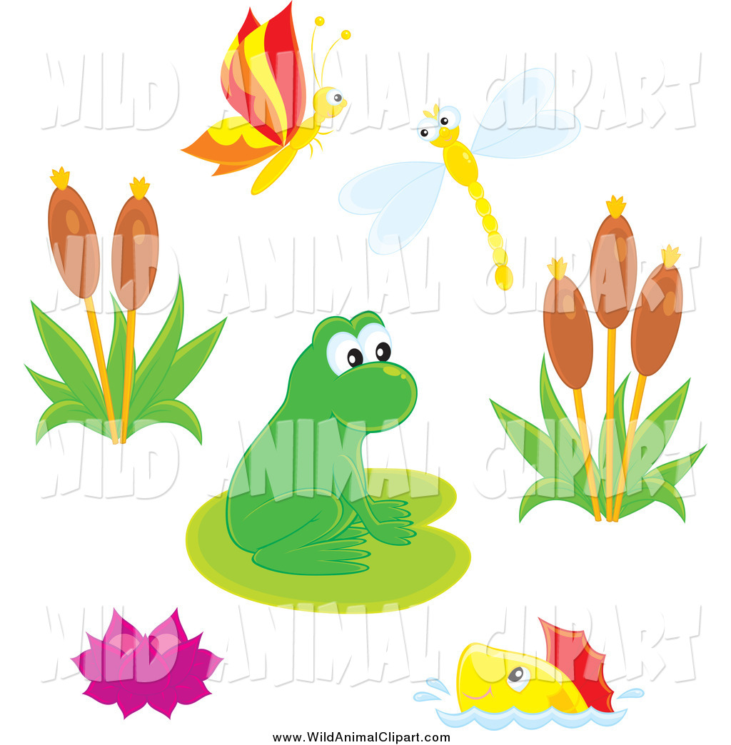 Royalty Free Green Frog Stock Wildlife Clipart Illustrations
