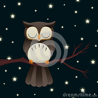 Sleepy Owl Royalty Free Stock Photos   Image  30360268