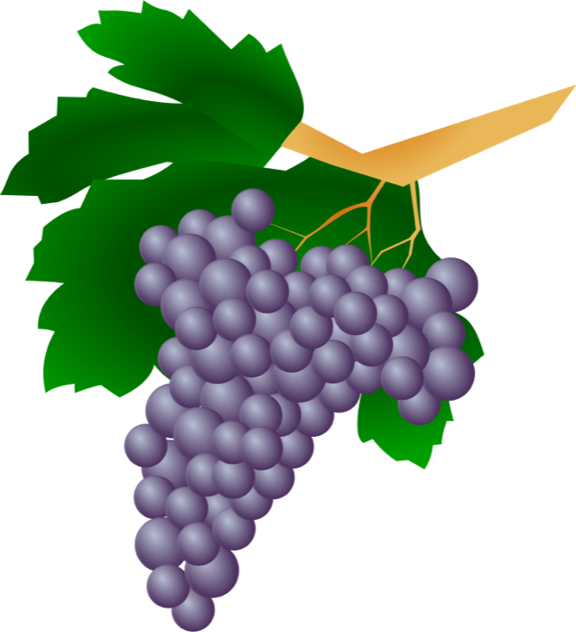 Wine Grapes   Clipart Panda   Free Clipart Images