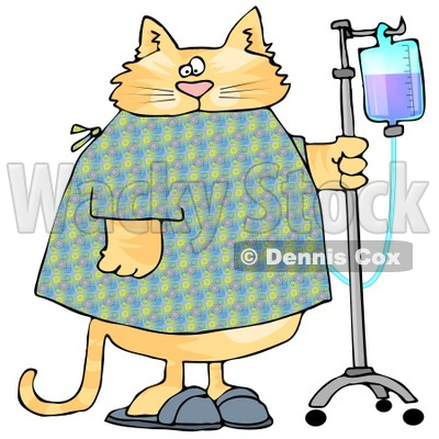 With An Iv Dispenser In A Hospital Clipart Picture   Dennis Cox  6322