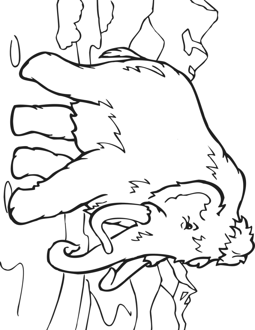 Book Mammoth    Education Coloring Pages Animals Coloring Book