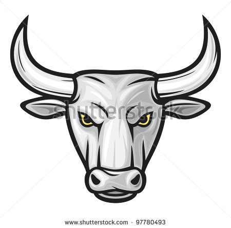 Bull Head  White Bull    Stock Photo
