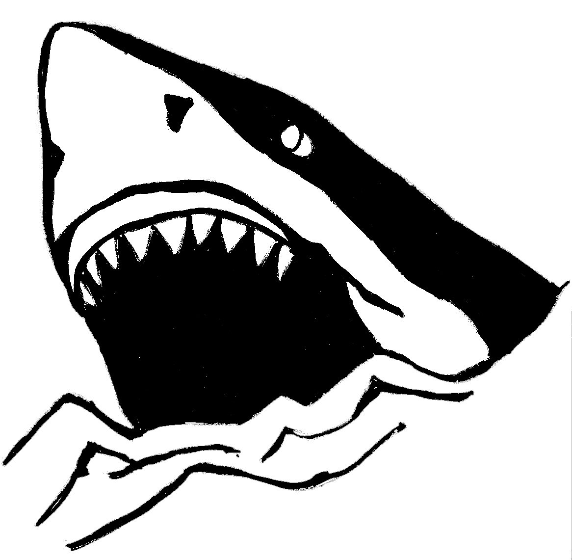 Clipart Shark Black And White Shark Pictures Black And White 23811 Hd