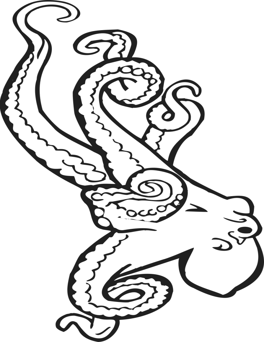Com Education Coloring Pages Animals Coloring Book Octopus Png Html