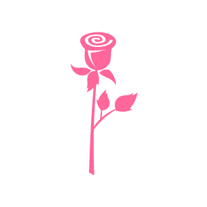    Design Of Flower Clipart   Pink Cute Lonely Rose With White Background