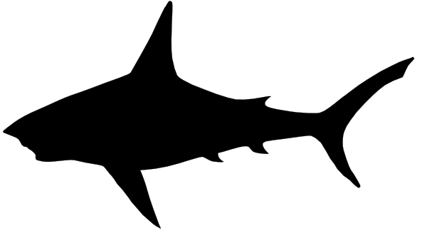 Shark Clipart Black And White   Clipart Panda   Free Clipart Images