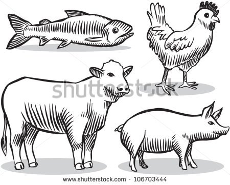 Style Illustration Of Livestock Animals  Cow Chicken Pig Fish