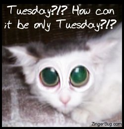 Tired Looking Eyes Comment Reads Tuesday How Can It Only Be Tuesday