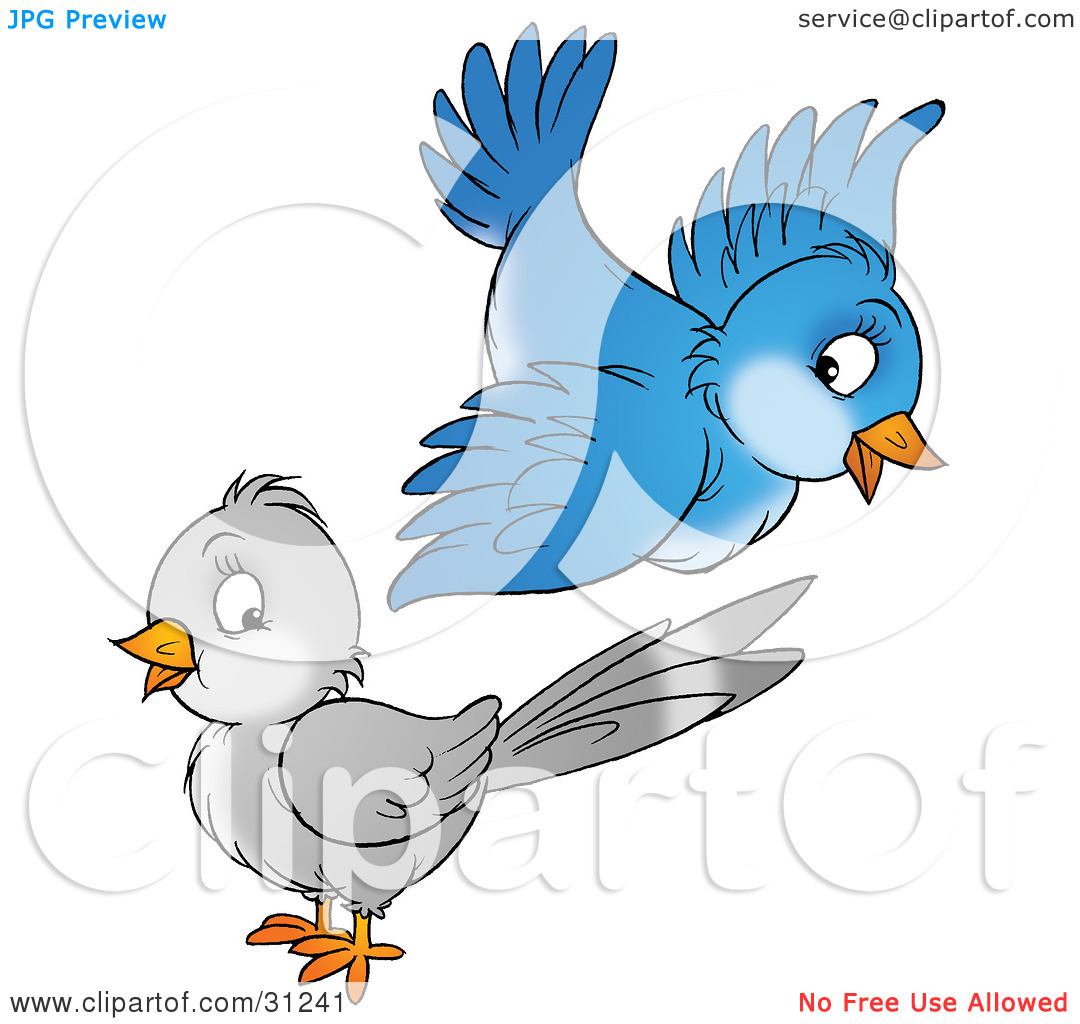 Clipart Illustration Of A Cute Blue Bird Flying Above A Gray Bird By