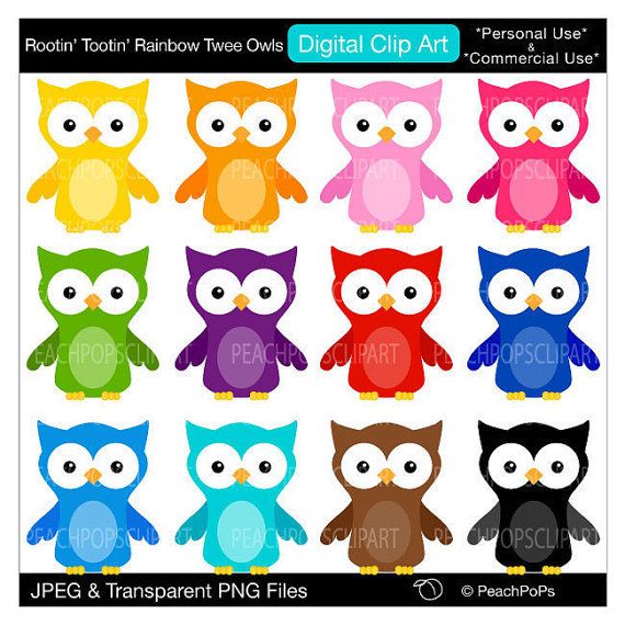 Cute Owls Clip Art Colorful Owl Digital Clipart   Rootin Tootin Rainb