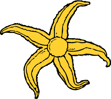Free Sea Stars Clipart  Free Clipart Images Graphics Animated    