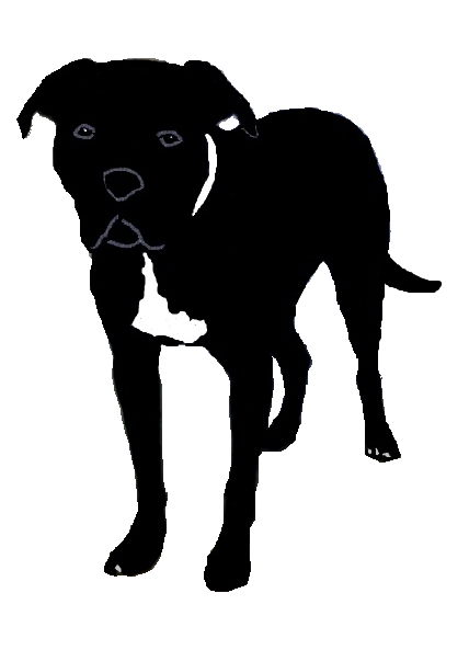 Pitbull Silhouette This Silhouette On It