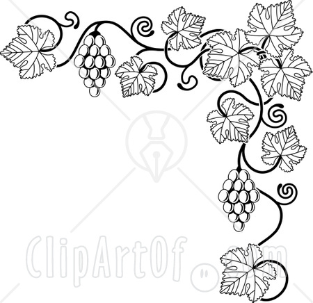 Art Black And White  Illustration Of A Black And White Grape Vi