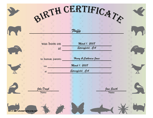 Birth Certificate Blank