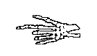 Bony Hand Pointing Clipart  Skeleton Hand With Finger Pointing Left