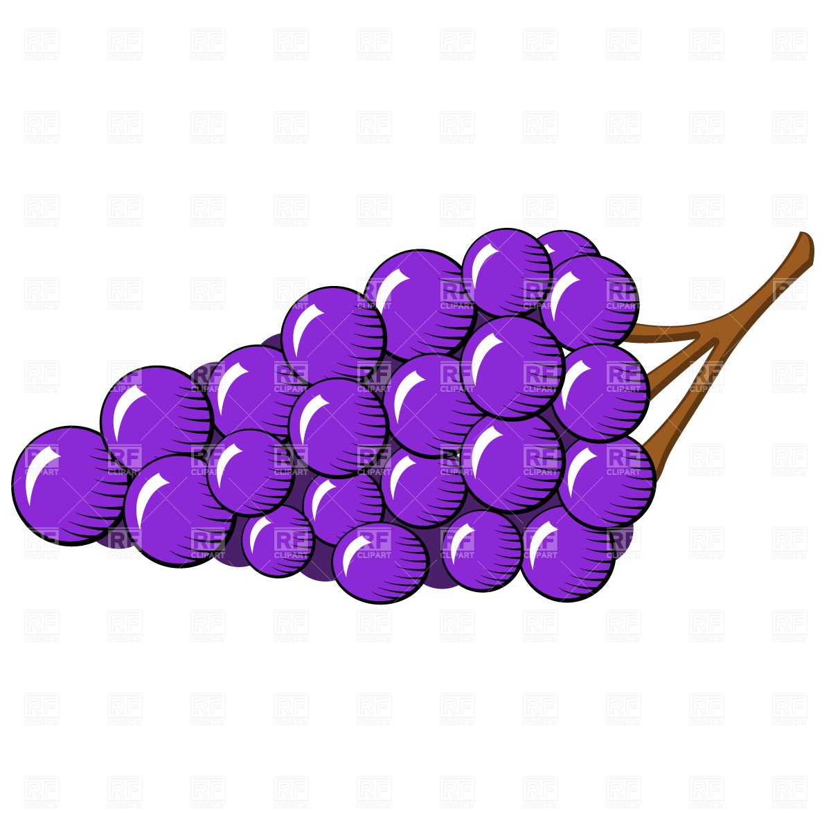 Bunch Of Blue Grapes Download Royalty Free Vector Clipart  Eps 