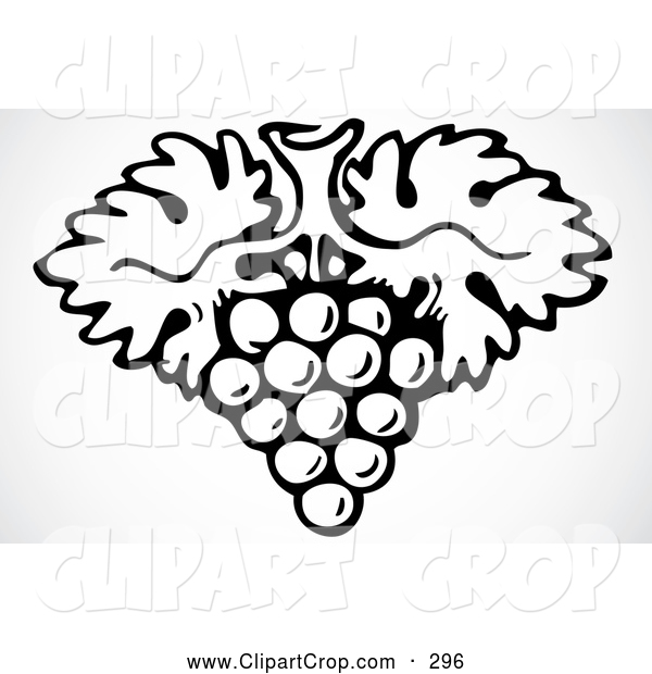 Clip Art Vector Of A Black And White Grape And Leaf Cluster Sketch By