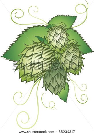 Hops Clip Art Hops With Leafs Isolated On