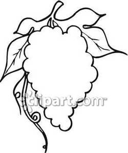 Outline Of A Bunch Of Grapes   Royalty Free Clipart Picture