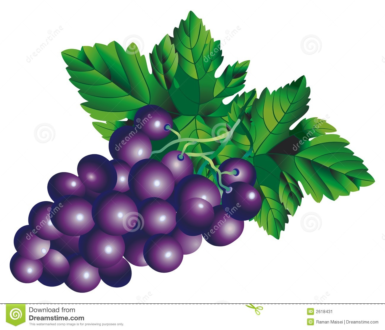 Raster Version Of Vector Image Of A Bunch Of Grapesthere Is In    