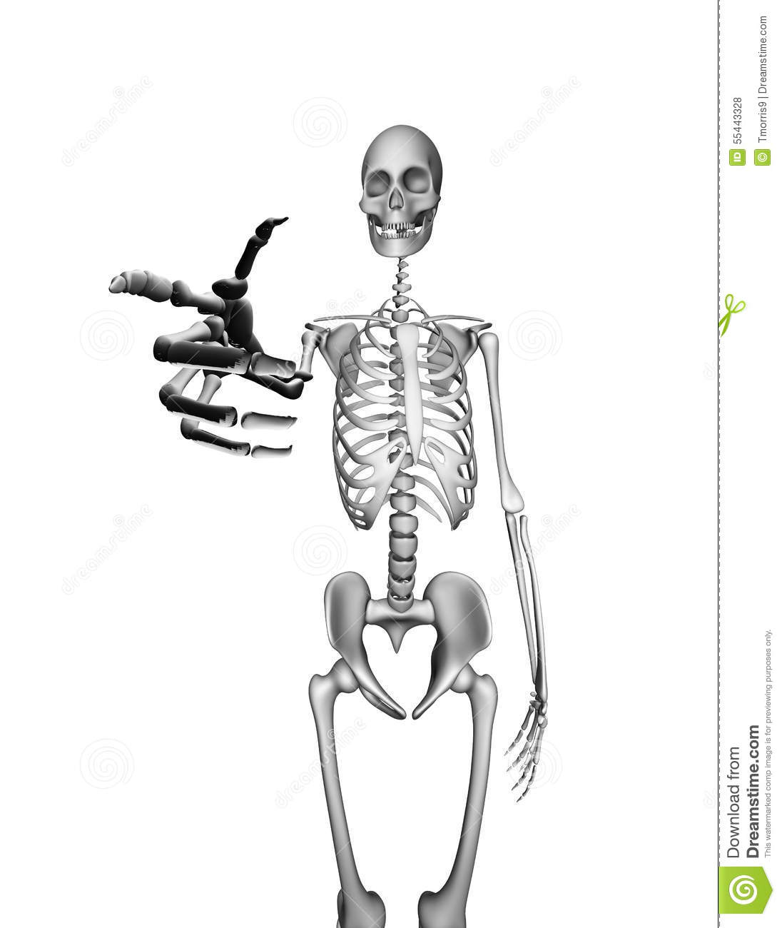 Skeleton Pointing