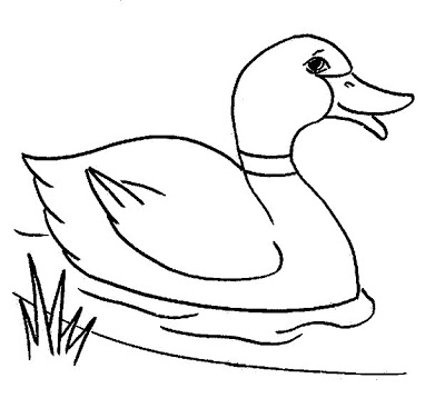 35 Duck Line Drawing   Free Cliparts That You Can Download To You    