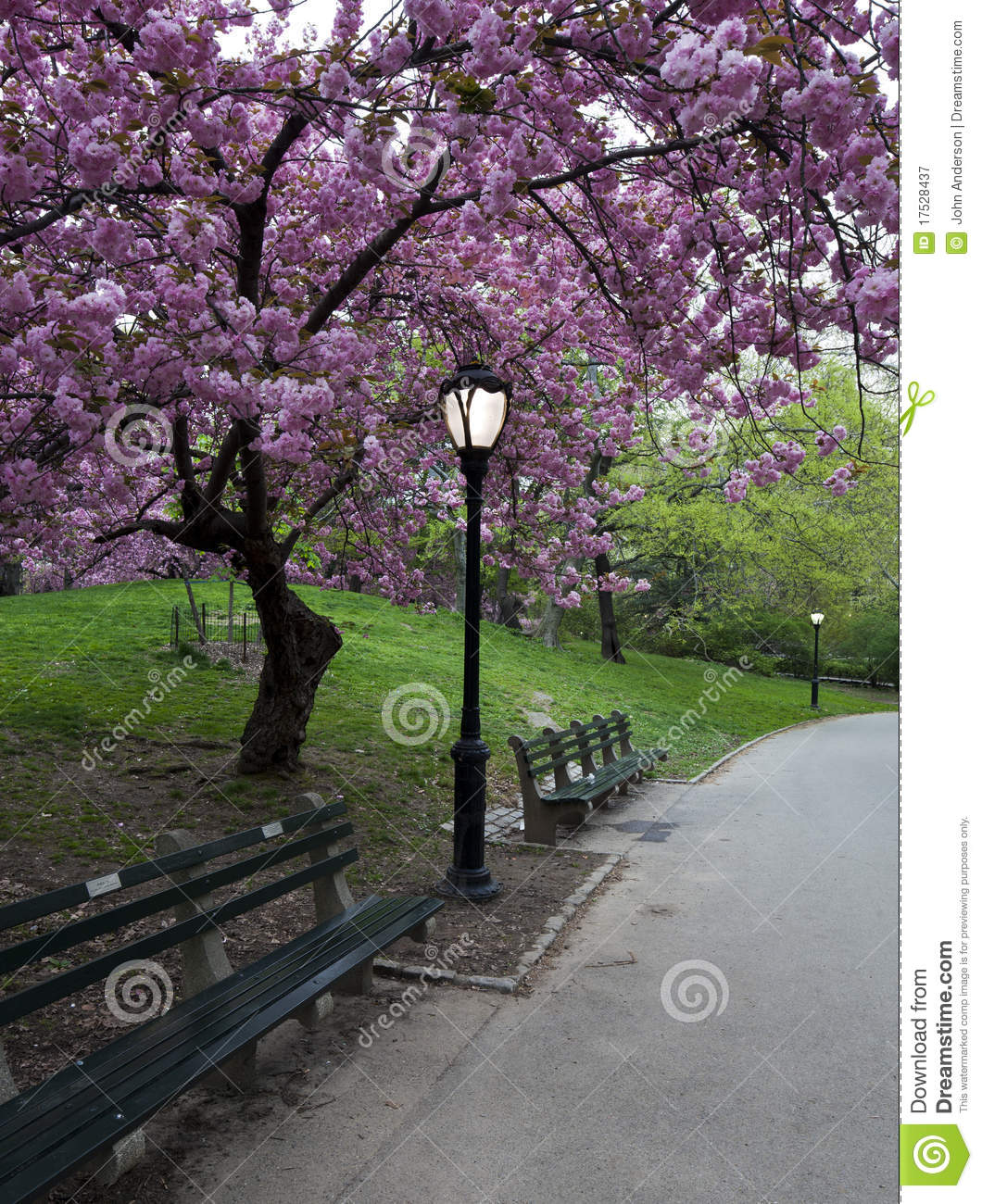 More Similar Stock Images Of   Sidewalk In The Park  