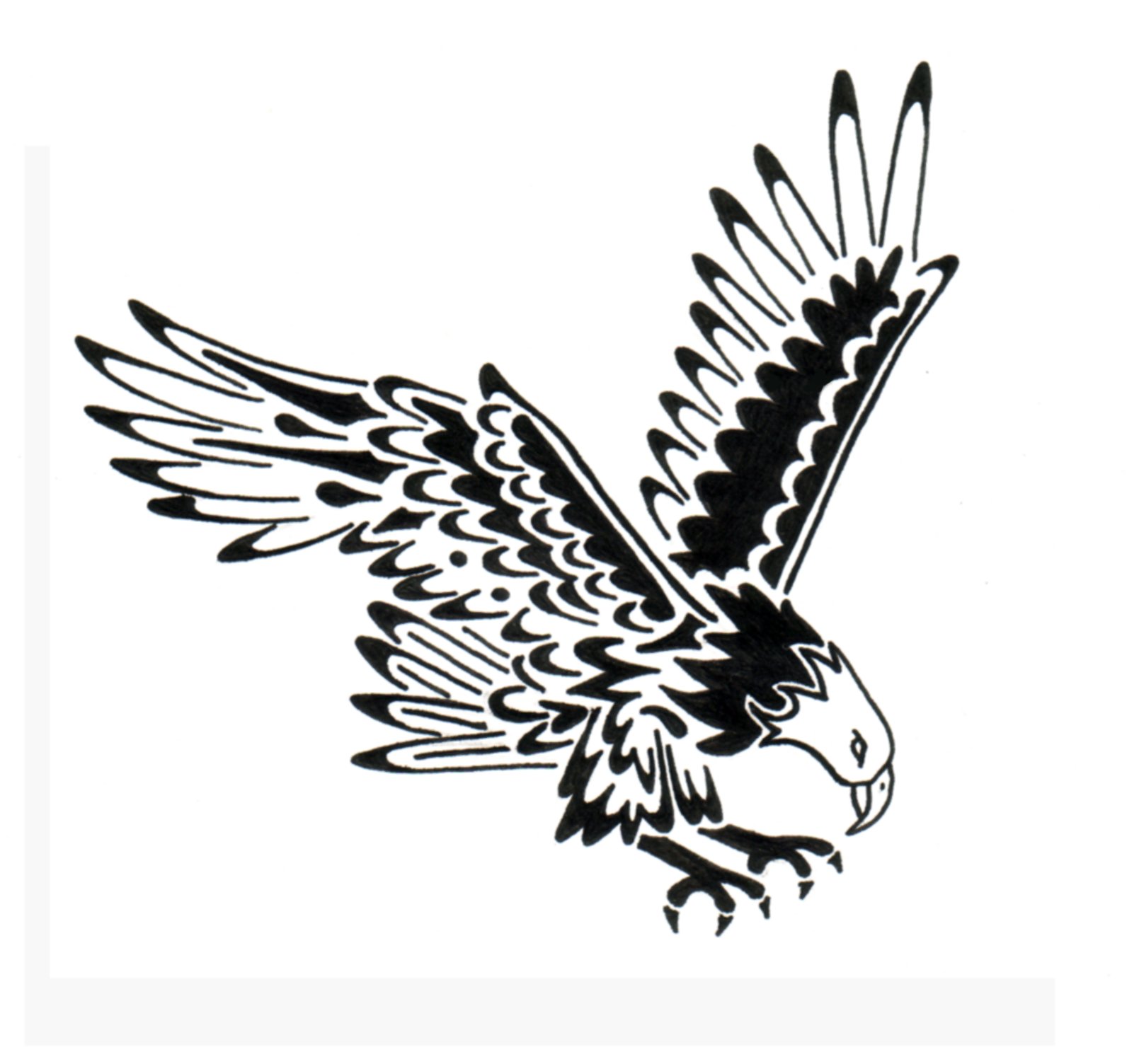 Tribal Eagle Tattoos   Designs And Ideas