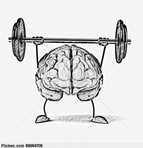 Weightlifting Linked To Better Brain Function   The Alpha Project