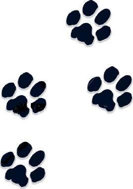 33 Puppy Paw Print Pictures Free Cliparts That You Can Download To You