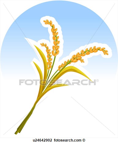 Clip Art   Rice Stalk   Fotosearch   Search Clipart Illustration