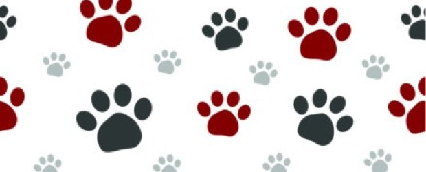 Dog Paw No Background Clipart   Cliparthut   Free Clipart