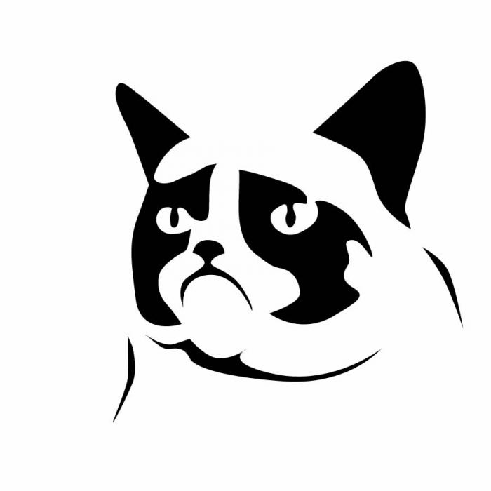 Grumpy Cat By Jesse F 