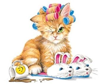Grumpy Cat   Clipart Illustrations   Animals   Pinterest