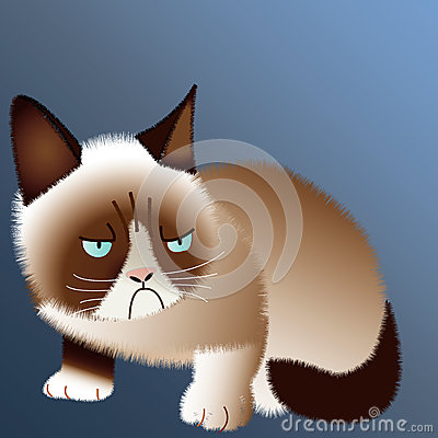 Grumpy Cat Stock Images   Image  32395554