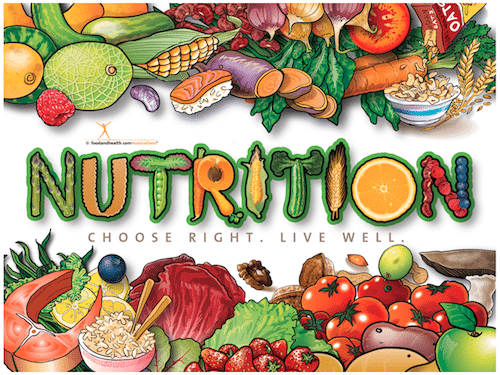 Have You Seen Our Newest Nutrition Poster  We Had So Much Fun Creating