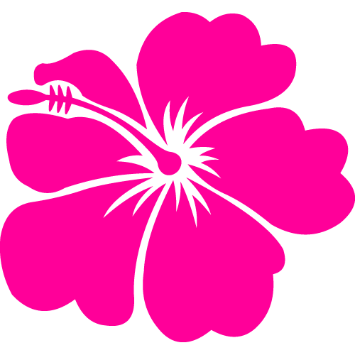 Hawaiian Flowers Clipart   Clipart Best