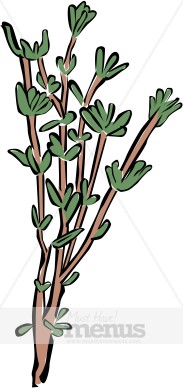 Thyme Clipart
