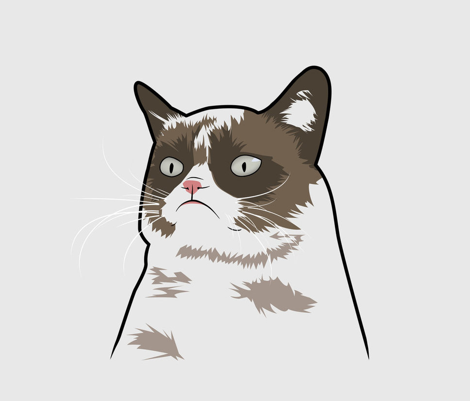 Wars Grumpy Cat Meme Grumpy Cat Quotes Grumpy Cat T Shirts Grumpy Cat    
