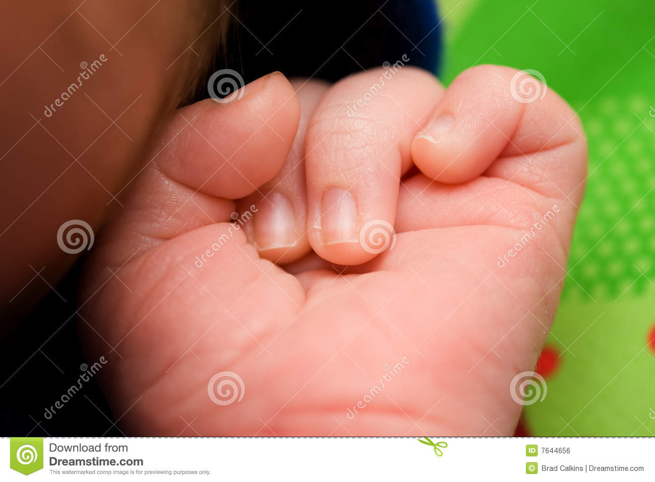Baby Fist Royalty Free Stock Image   Image  7644656