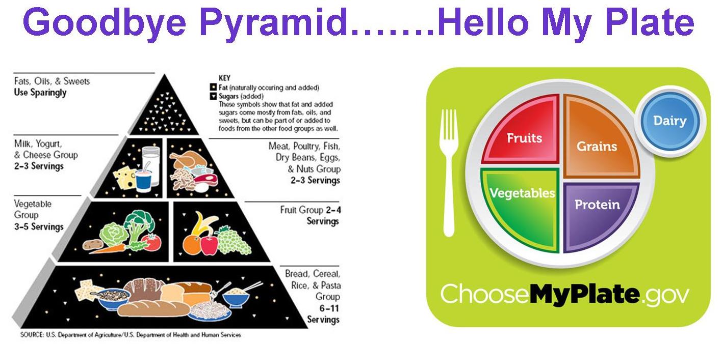 Food Pyramid Replaced With My Plate   Six Simple Truths