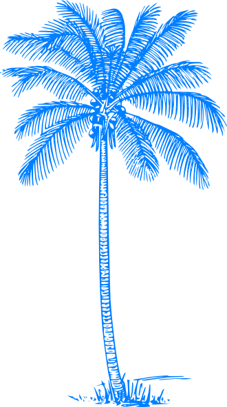 Palm Tree Clip Art Clip Art  Png And Svg