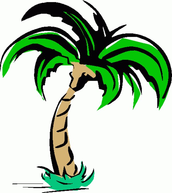 Palm Trees Clip Art Sheet Starfish Sun Palm Tree